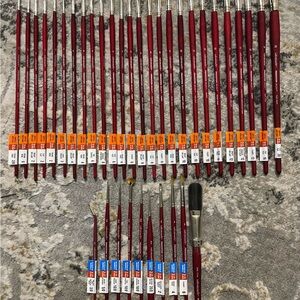 Princeton Acrylic & Watercolor Paint Brushes Bundle